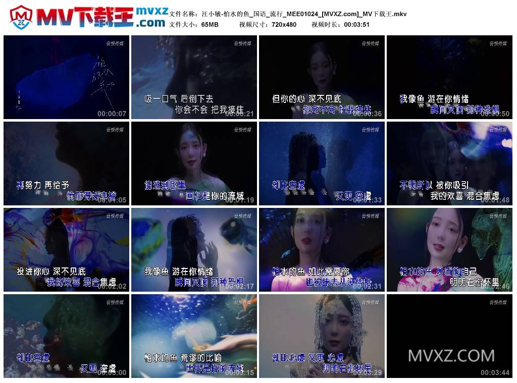 汪小敏-怕水的鱼_国语_流行_MEE01024